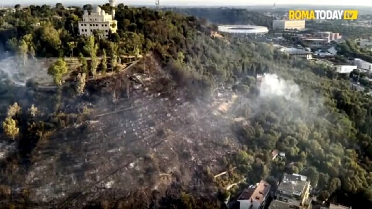 Monte Mario, partito il tavolo tecnico: obiettivo riforestare la collina devastata dall'incendio