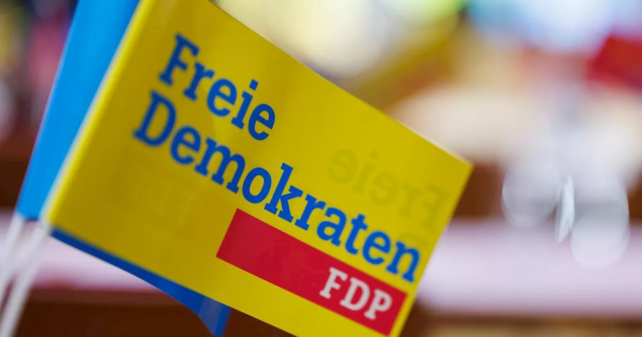 Migrationswende: FDP legt 9-Punkte-Plan zur Migrationspolitik vor