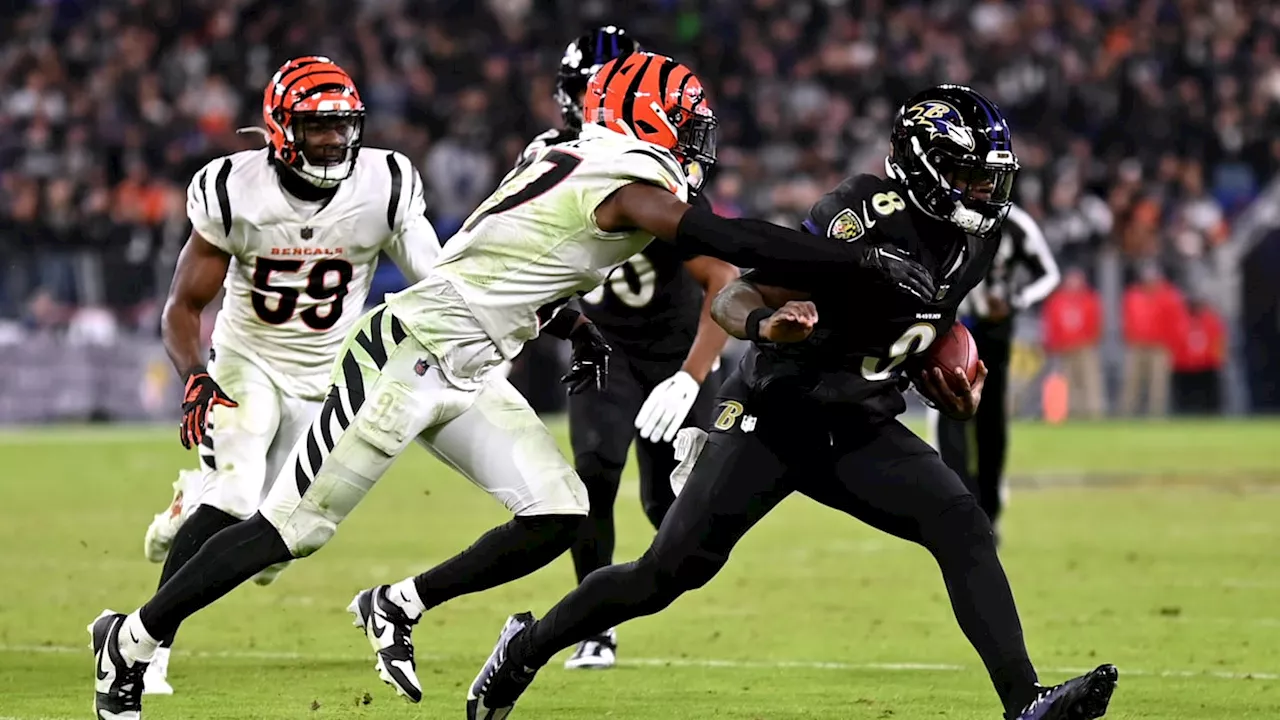 Baltimore Ravens vs. Cincinnati Bengals Preview: Welcome to the Jungle