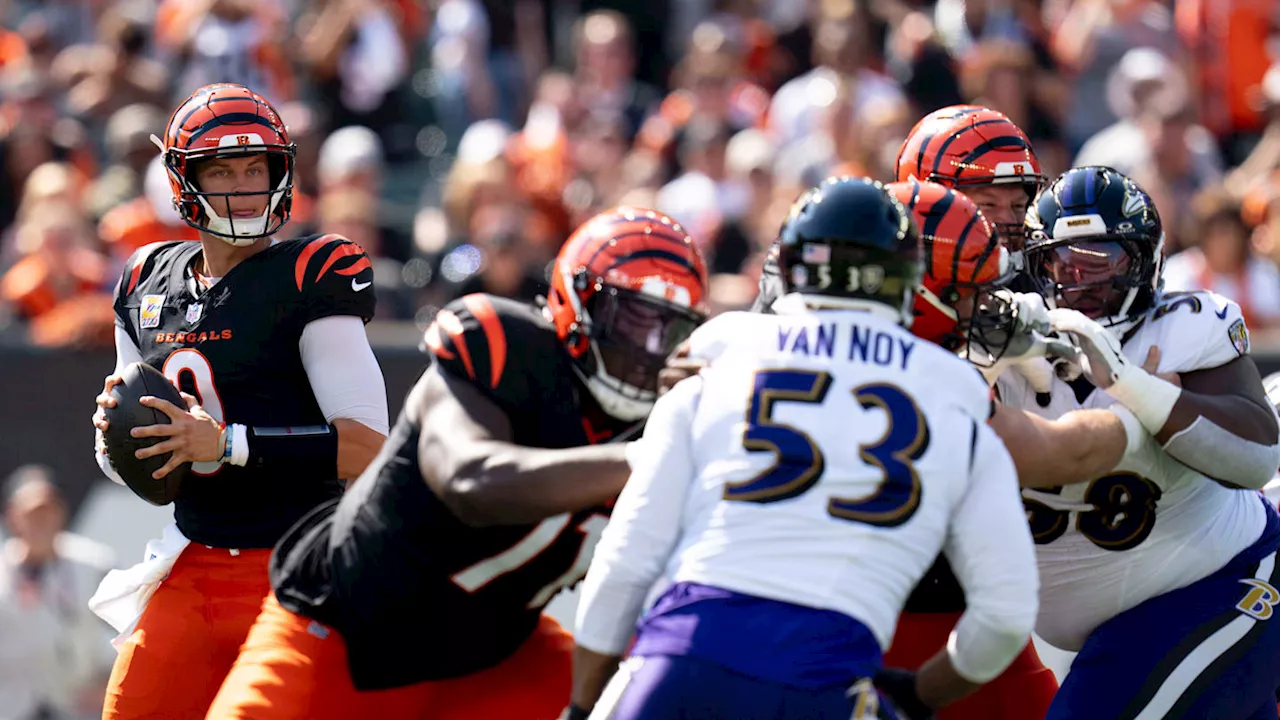 Watch: Bengals QB Joe Burrow Throw's Career-High Fifth TD Pass Against Ravens