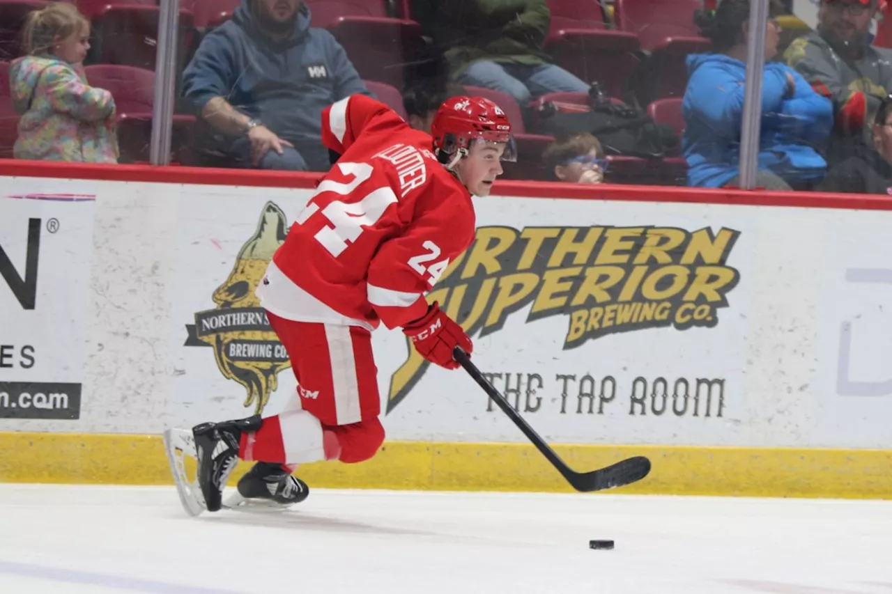 Greyhounds 'showed some great character' in Sunday setback