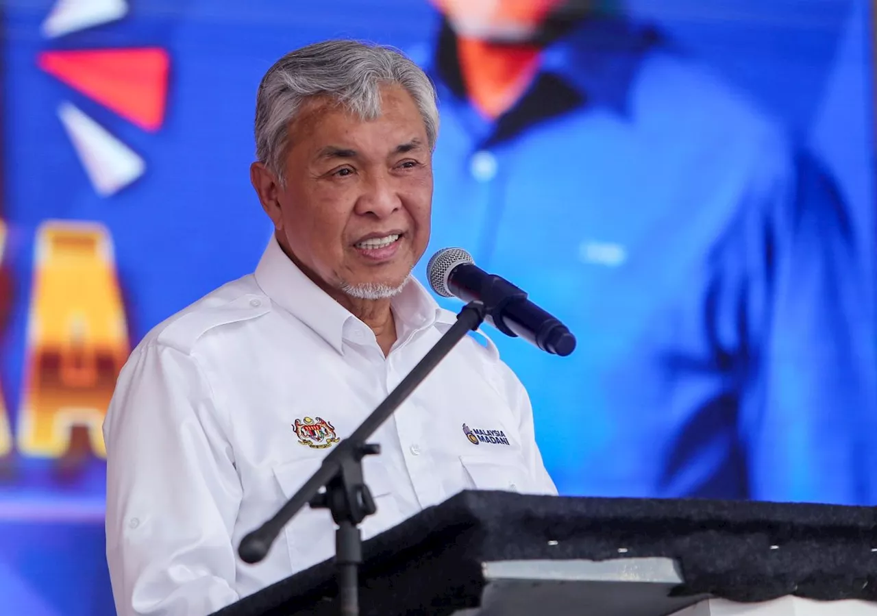 Cabinet agrees to put coconut under Cocoa Board's purview, says Ahmad Zahid