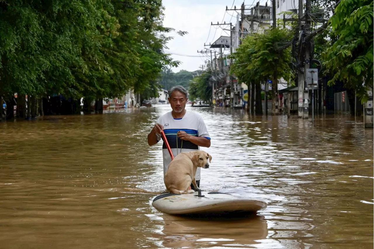 Central Thailand now braces for inundation as rain stops in flooded Chiang Mai