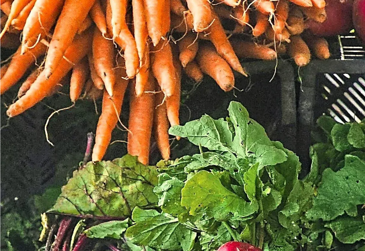 Melaka provision shop caught storing vegetables in toilet