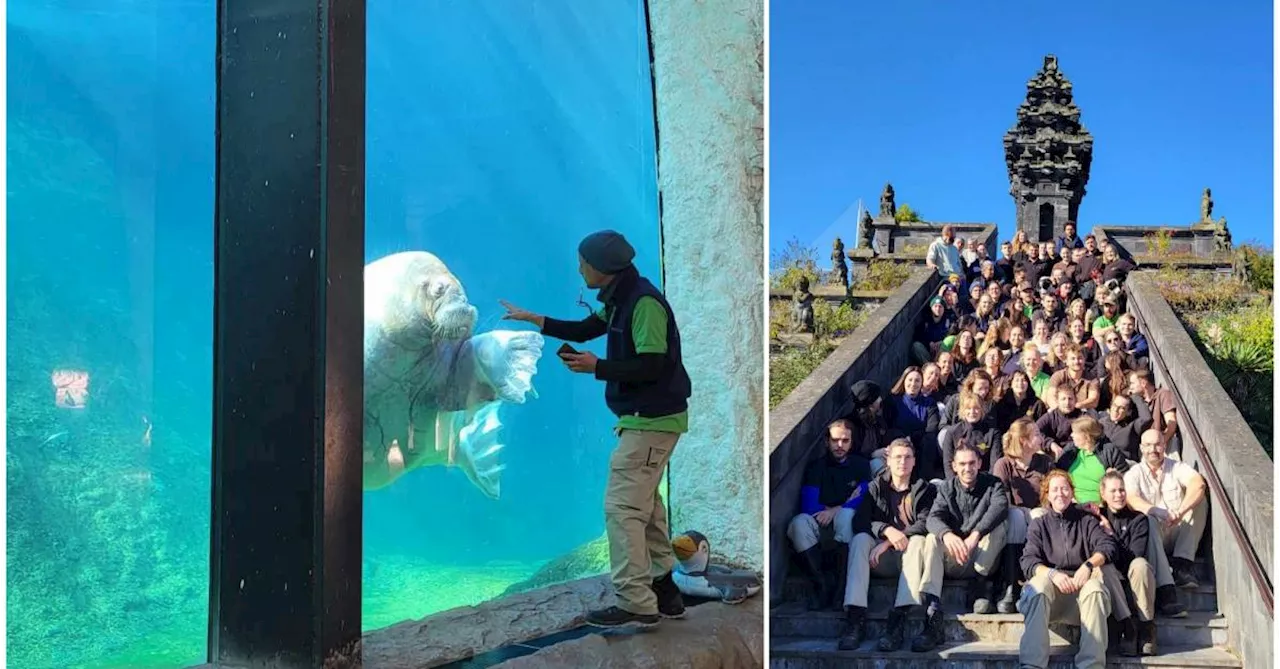 Pairi Daiza a célébré ses soigneurs avec une journée organisée spécialement pour eux