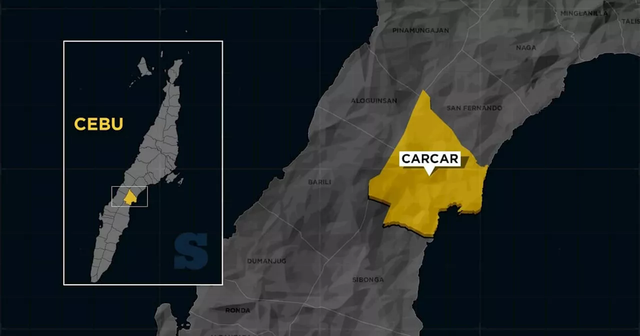 Retired seafarer eyes Carcar's mayoral post