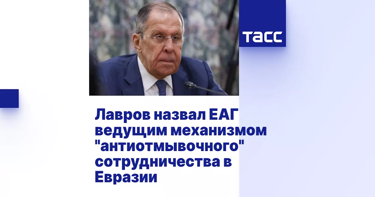 Лавров назвал ЕАГ ведущим механизмом 'антиотмывочного' сотрудничества в Евразии