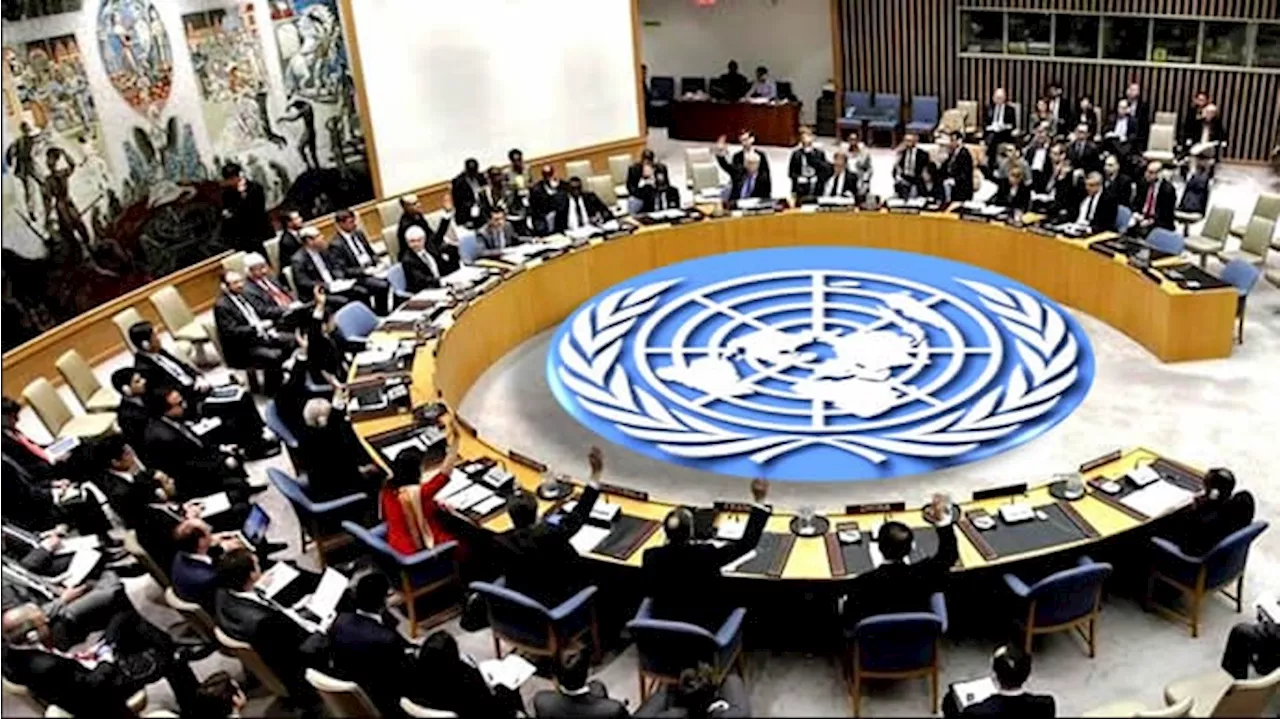 Why Nigeria deserves UN security council permanent seat