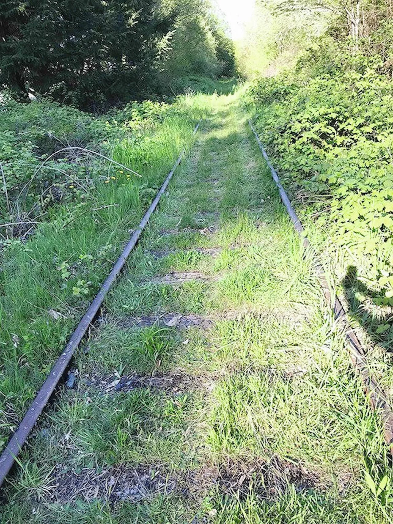 Snaw-naw-as First Nation going to court over condition of former railway line