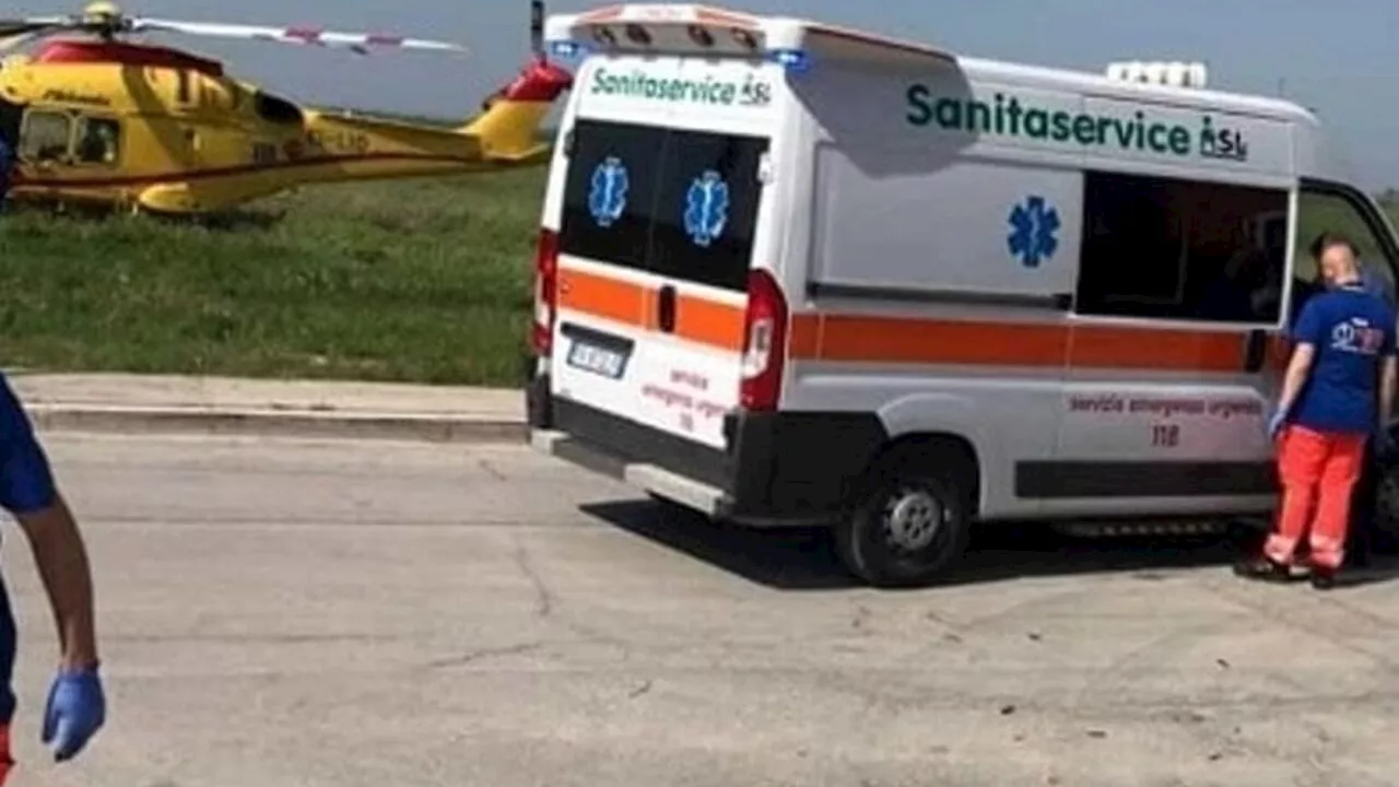 Un mal di testa, poi il marito la trova morta in bagno: "Punta da due calabroni"