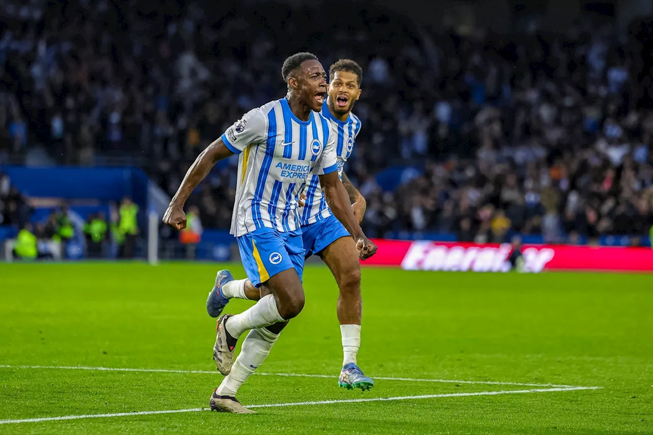 Brighton repareert fout Verbruggen met formidabele comeback tegen Tottenham