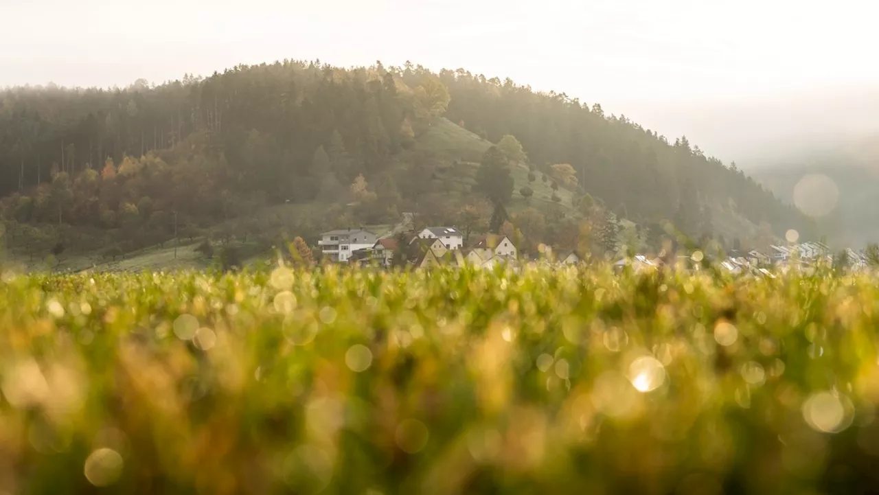 Wetter in Deutschland: Sonne satt verdrängt den Nebel