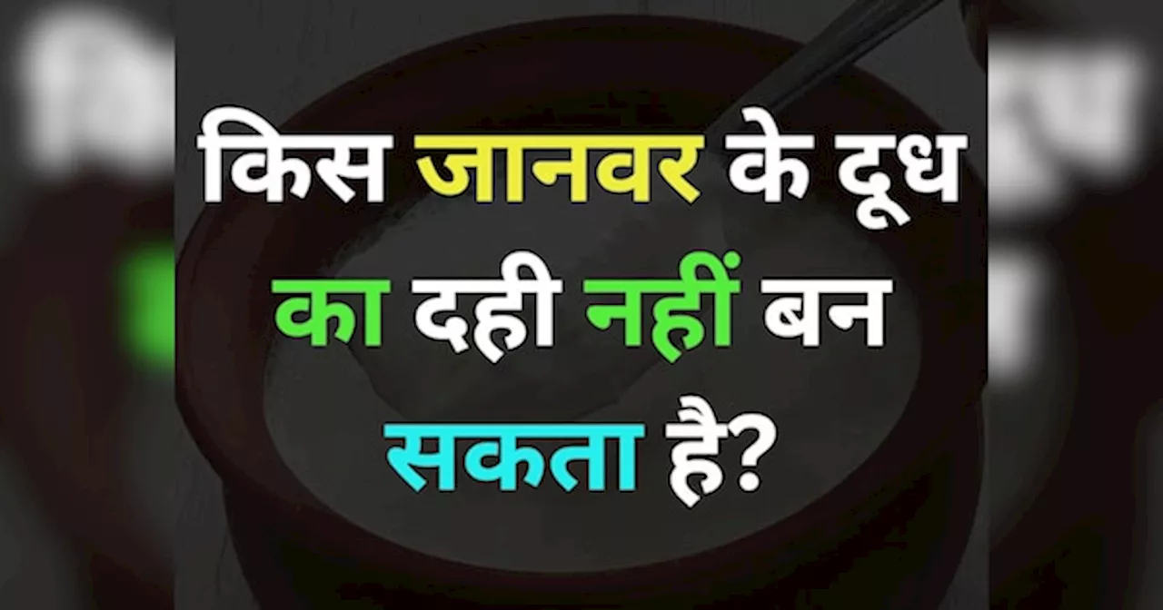 GK Quiz: किस जानवर के दूध का दही नहीं बन सकता है?