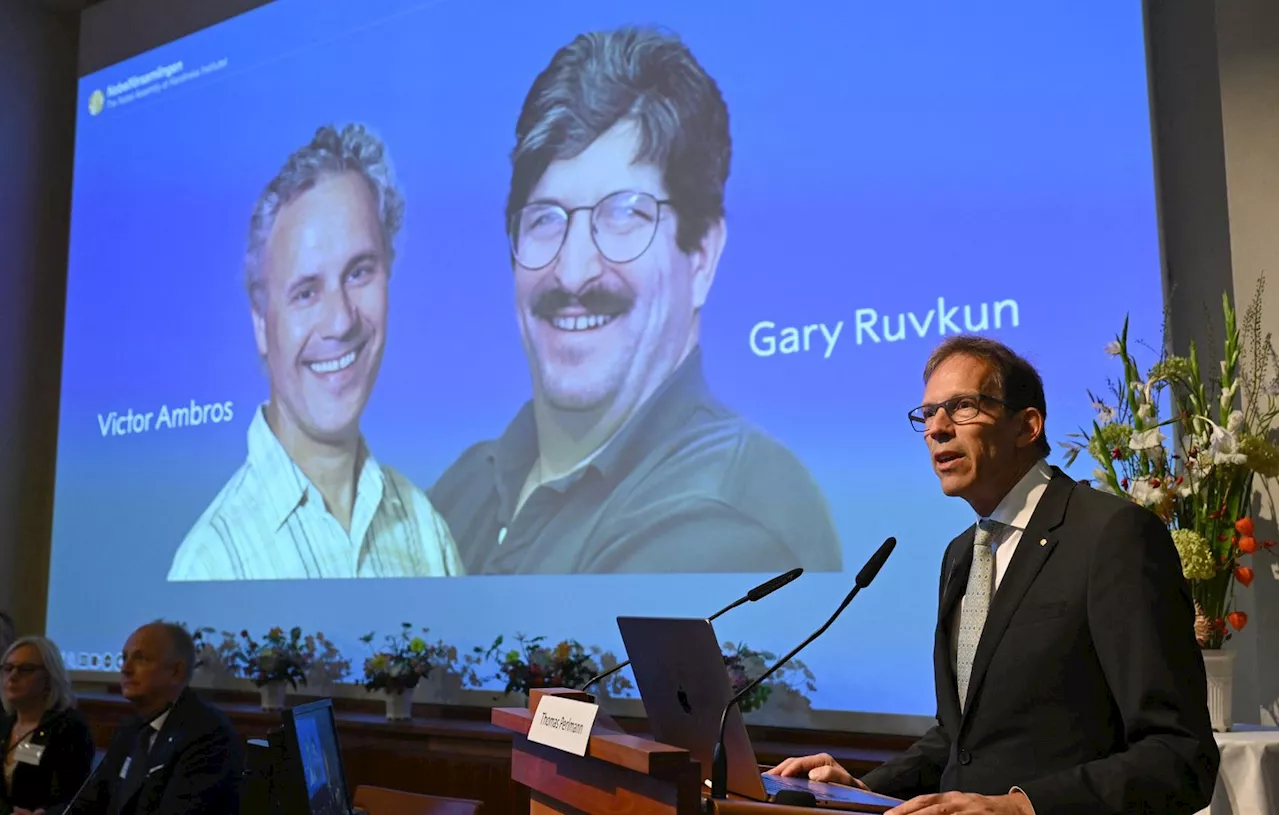 Prix Nobel : Les Américains Victor Ambros et Gary Ruvkun, lauréats en médecine