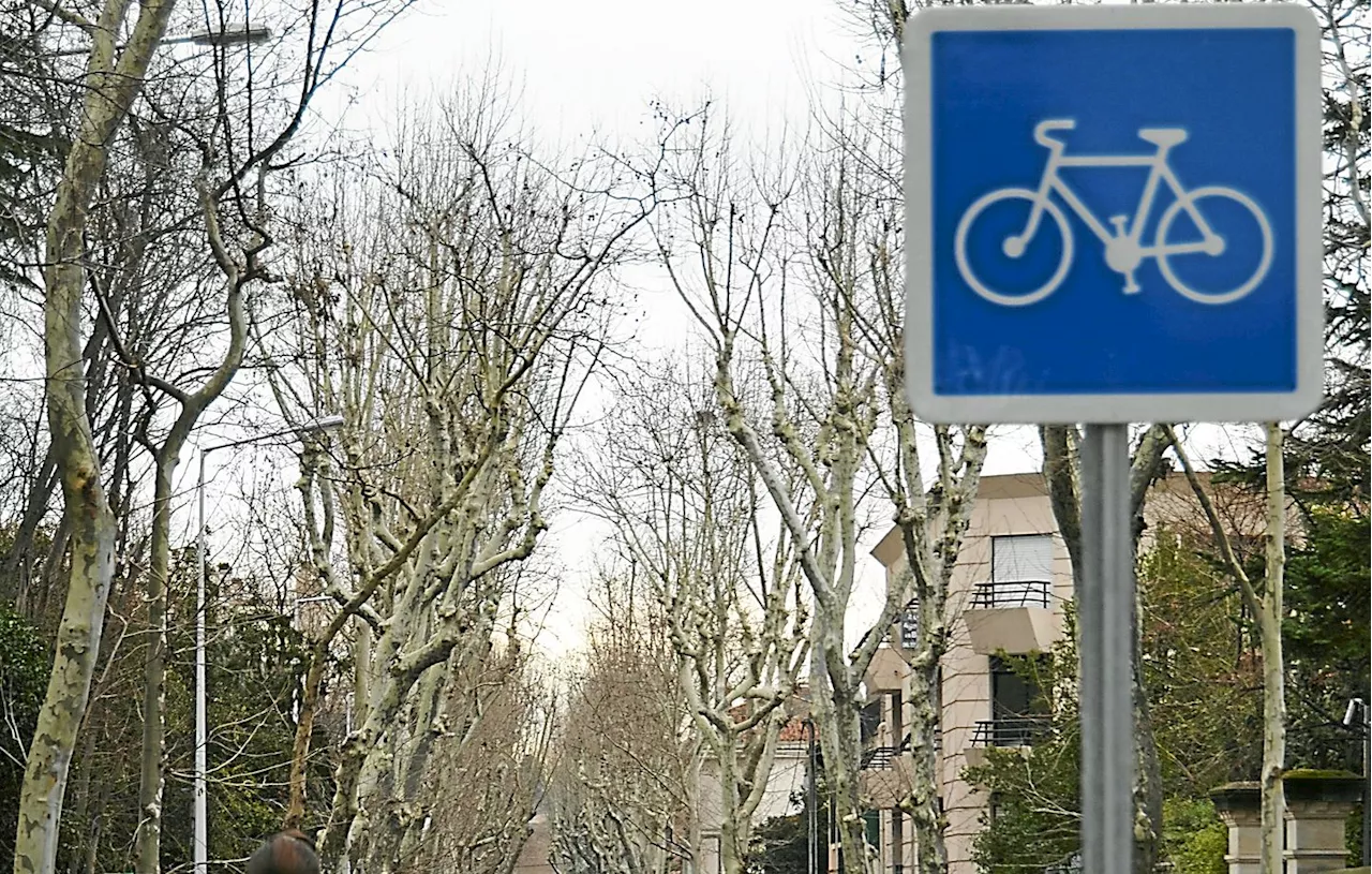 Niort : Une aide financière pour aménager 190 kilomètres de pistes cyclables