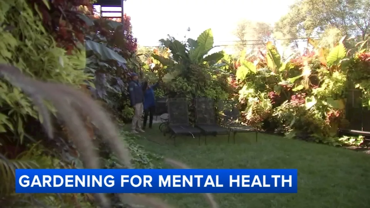 Chicago police officer's Garfield Park garden stops traffic, helps him cope with mental health