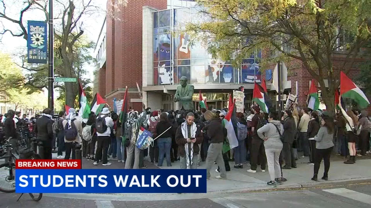 Chicago protests: Pro-Palestinian demonstrators disrupt traffic into downtown, hold march at DePaul