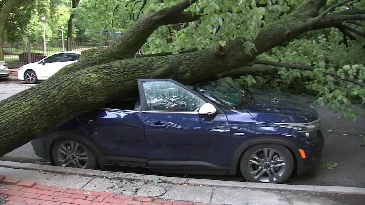 Chicago weather: IRS announces tax relief for July storm victims in parts of Illinois