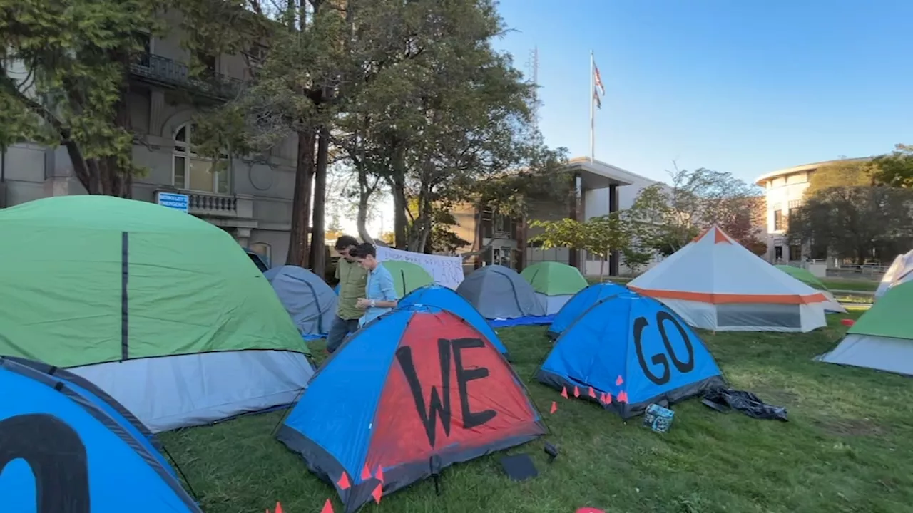 Tents pop up in front of Berkeley City Hall in protest of encampment sweeps