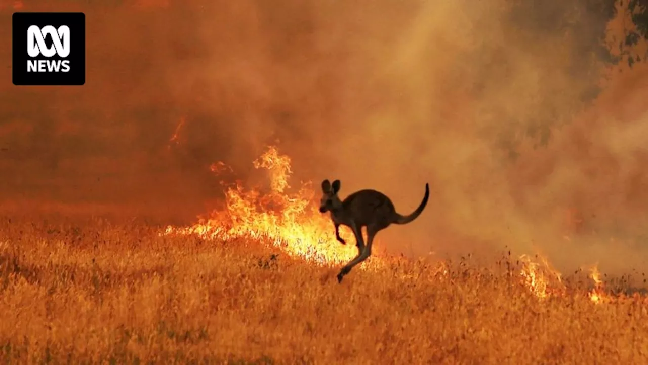 Australian Security Leaders Climate Group calls for overhaul of federal government's climate threat preparedness strategy