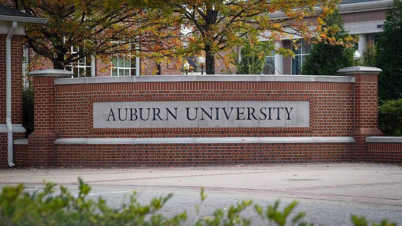 Pro-Palestinian protester punched, bloodied at Auburn on anniversary of Hamas attack