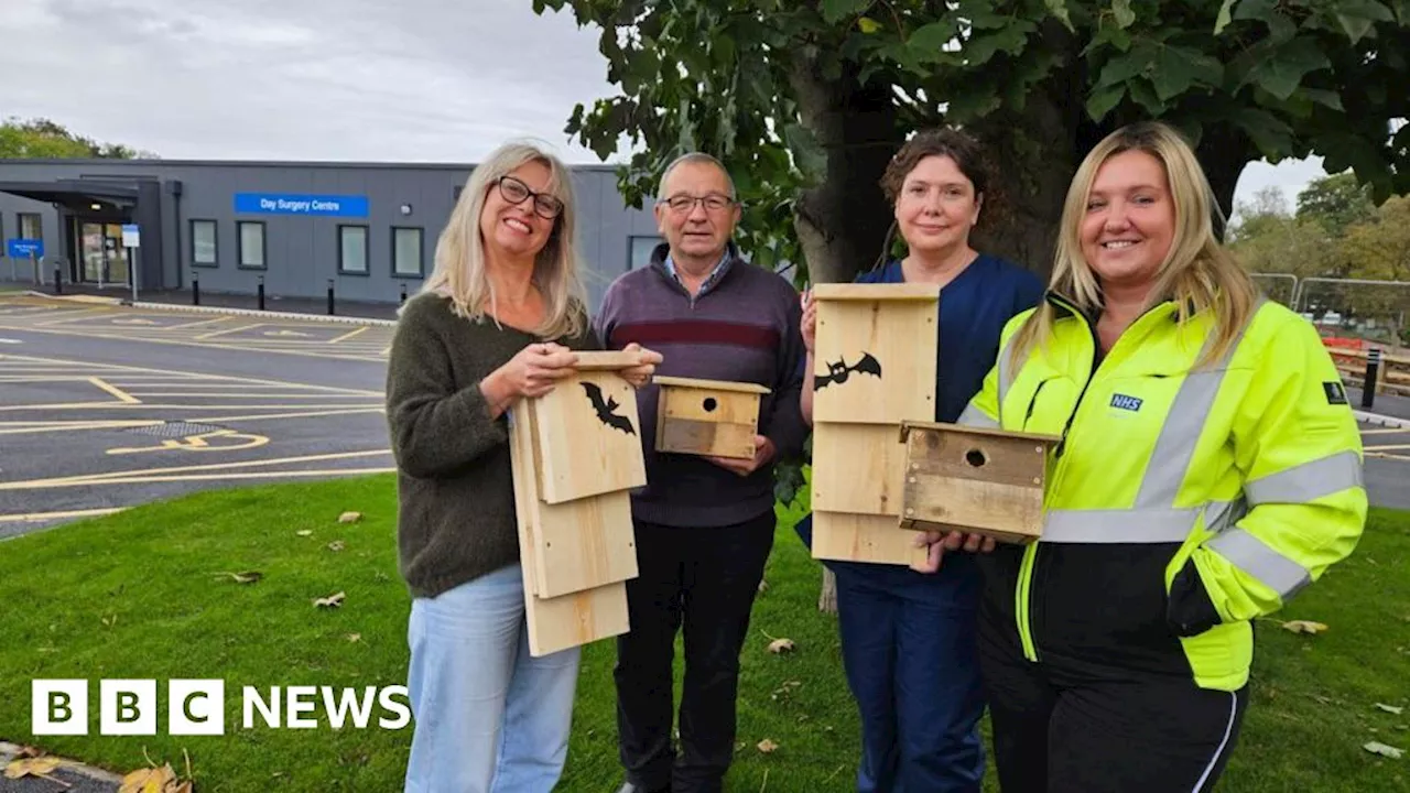 Castle Hill Hospital waste creates new homes for wildlife