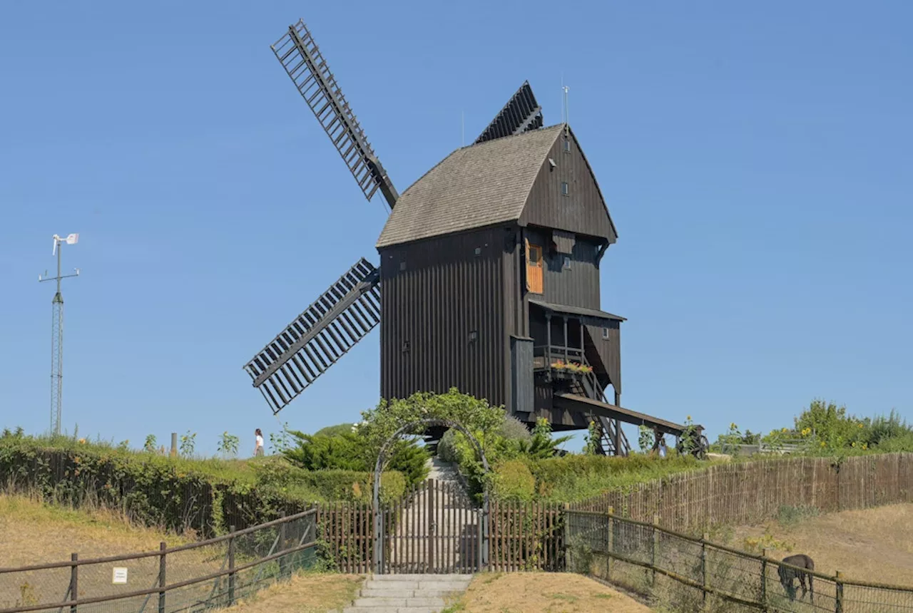 Alt-Marzahn: Bezirk sucht neue Betreiber für Kleintierhof und Bockwindmühle ab 2025