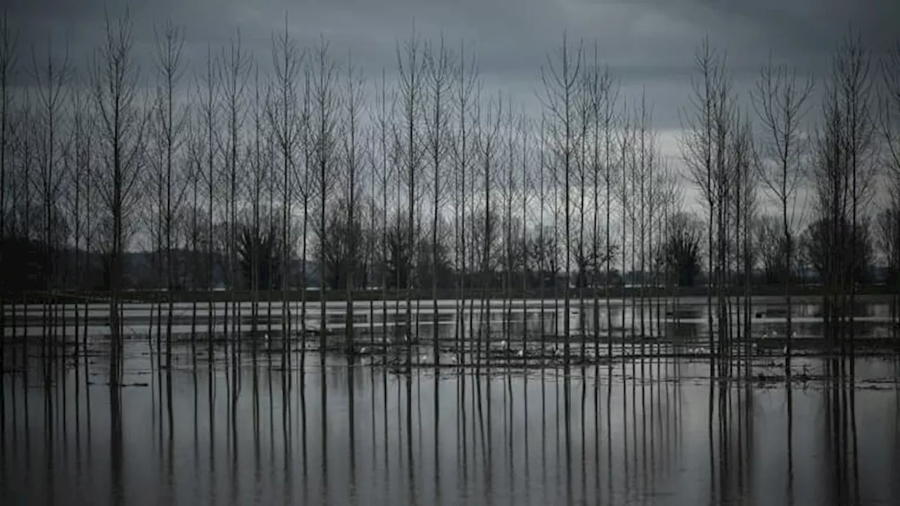 Pluie-inondations: Météo France place trois départements en vigilance orange