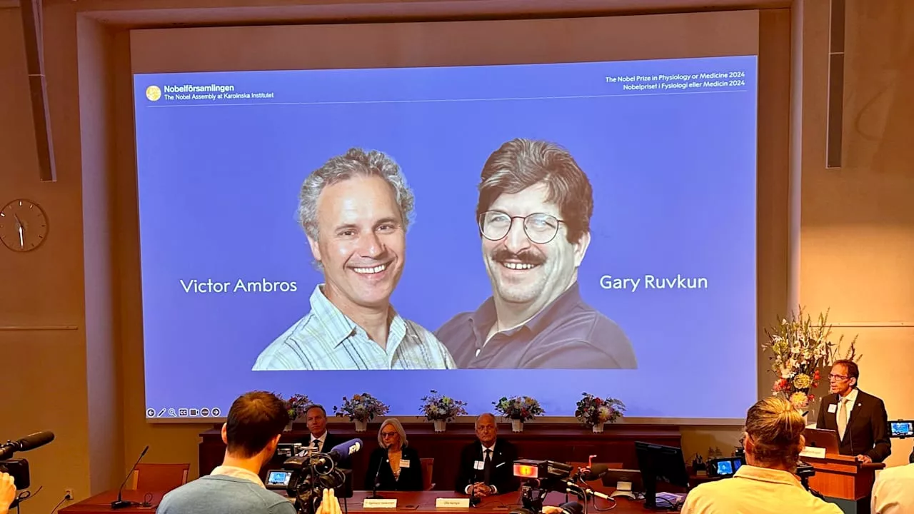 Nobelpreis für Medizin an Victor Ambros und Gary Ruvkun