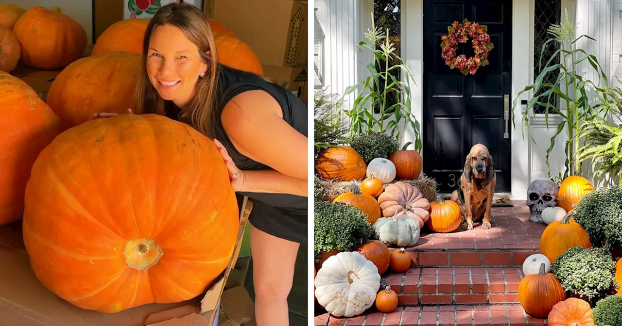 Texas Mom Goes Viral For Elaborate Halloween Pumpkin Displays With $1,000 Price Tags