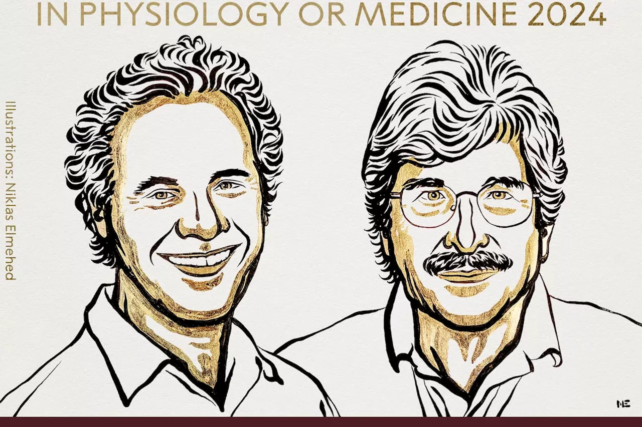 Nobel de Medicina: dos estadounidenses ganan por descubrimiento del microARN