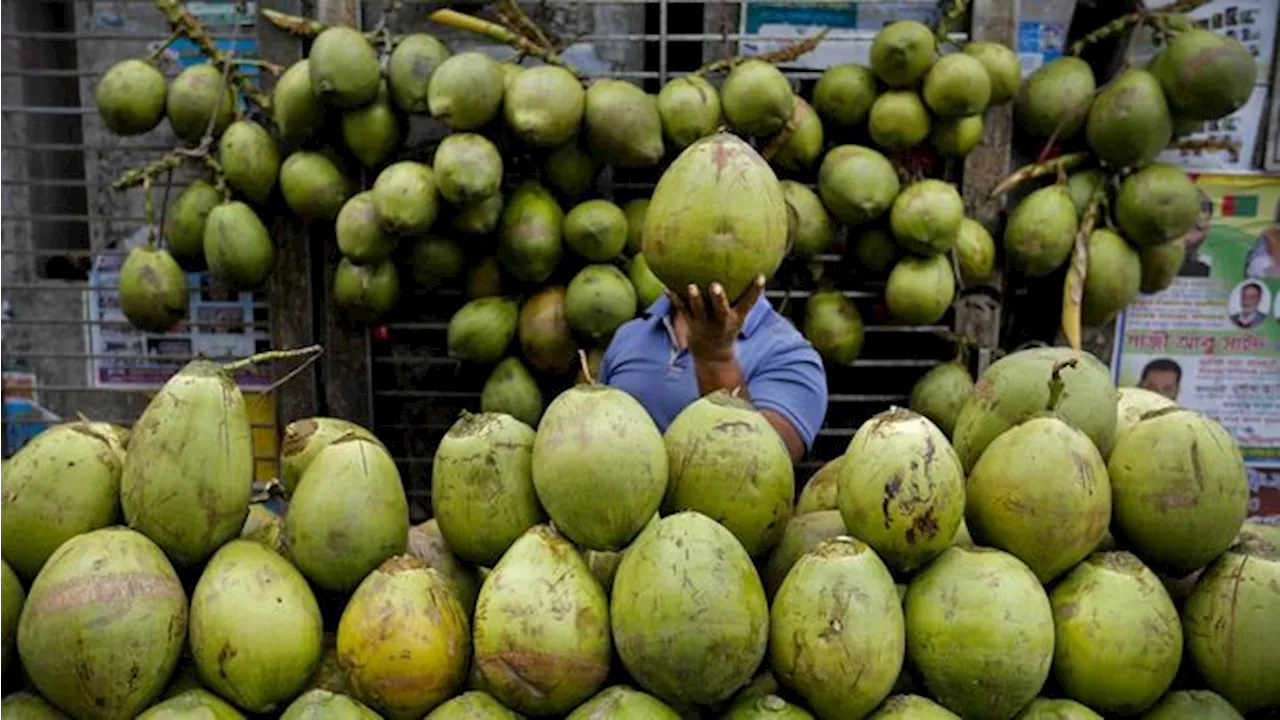 7 Kelompok Orang yang Dianjurkan Minum Air Kelapa, Anda Termasuk?