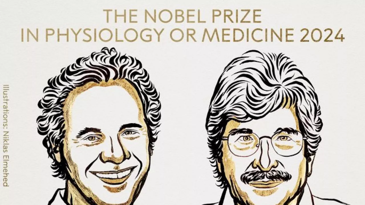 Il Nobel per la Medicina 2024 a Victor Ambros e Gary Ruvkun