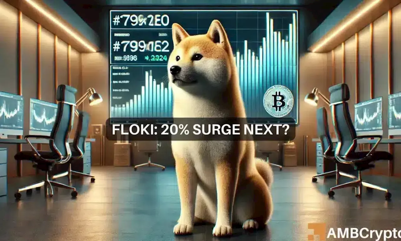 FLOKI: Why a 20% rally could be in the works for the memecoin