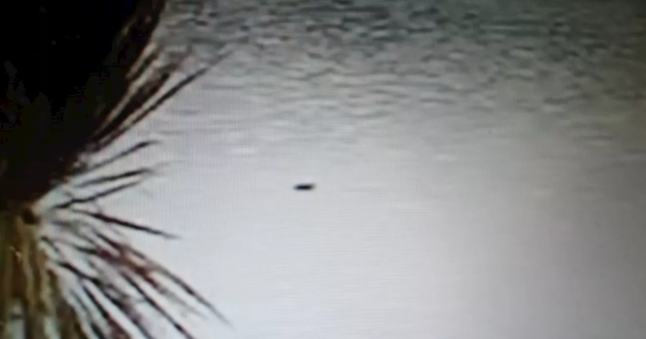 'Extraordinary' new Loch Ness Monster sighting as footage of 'black hump' shared