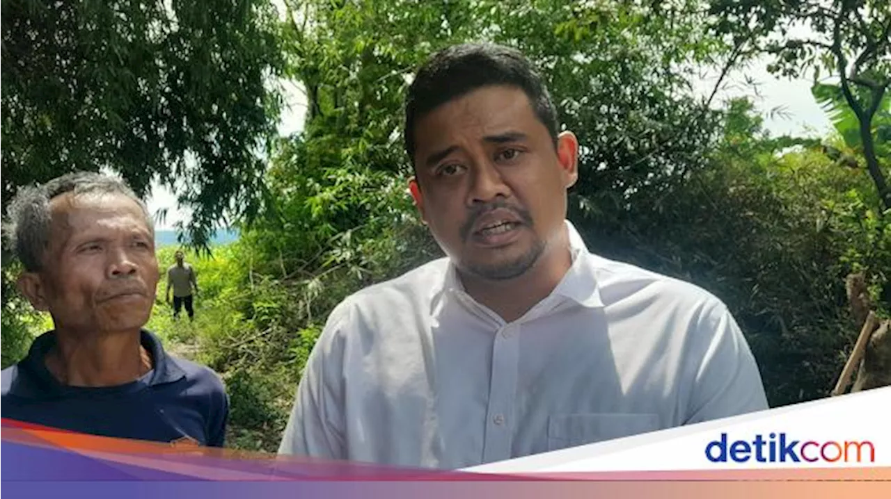 Bobby Jawab Edy soal Hubungan dengan PDIP Seperti Pelihara Harimau