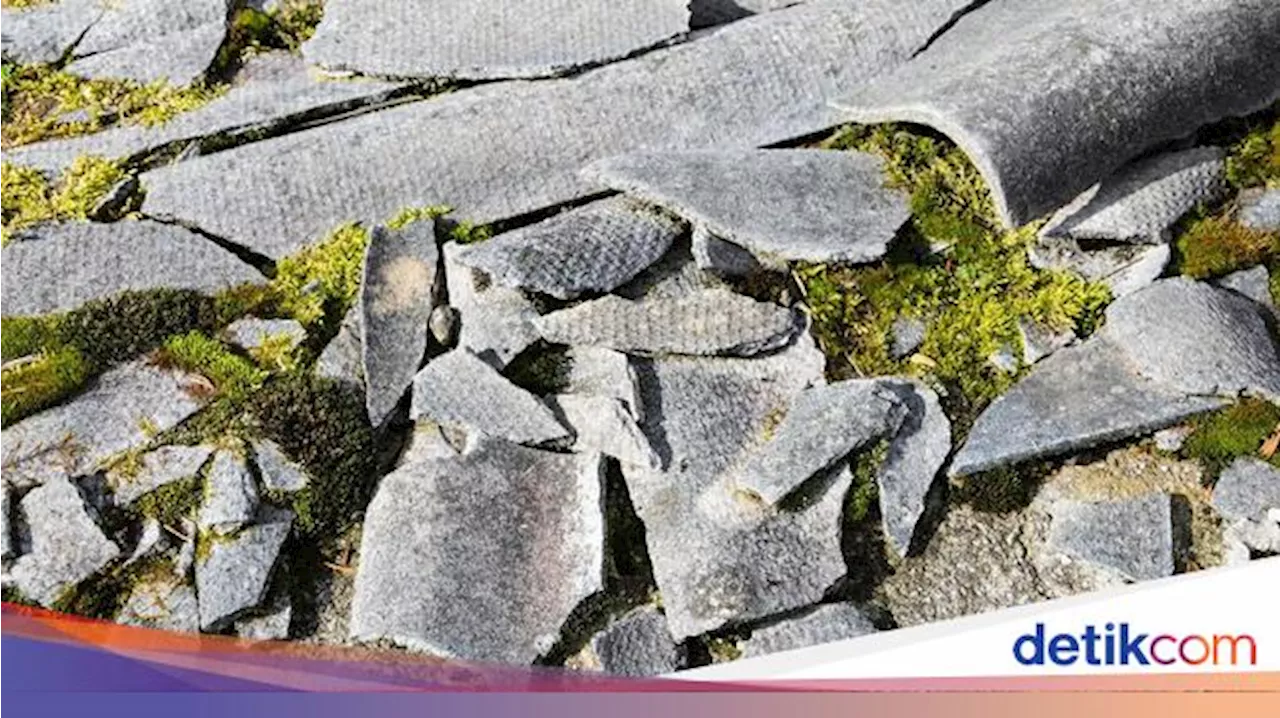 Material di Rumah yang Bisa Membunuhmu Pelan-pelan