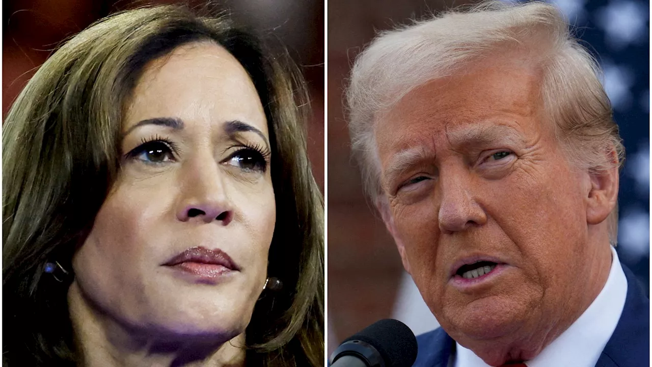 Qué Pasa Hay Empate Elecciones Estados Unidos 2024; Cómo Desempate Harris y Trump