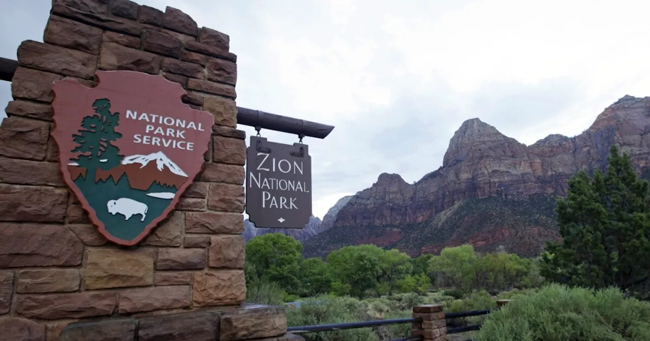 Man dies after falling 200 feet while canyoneering in Zion National Park