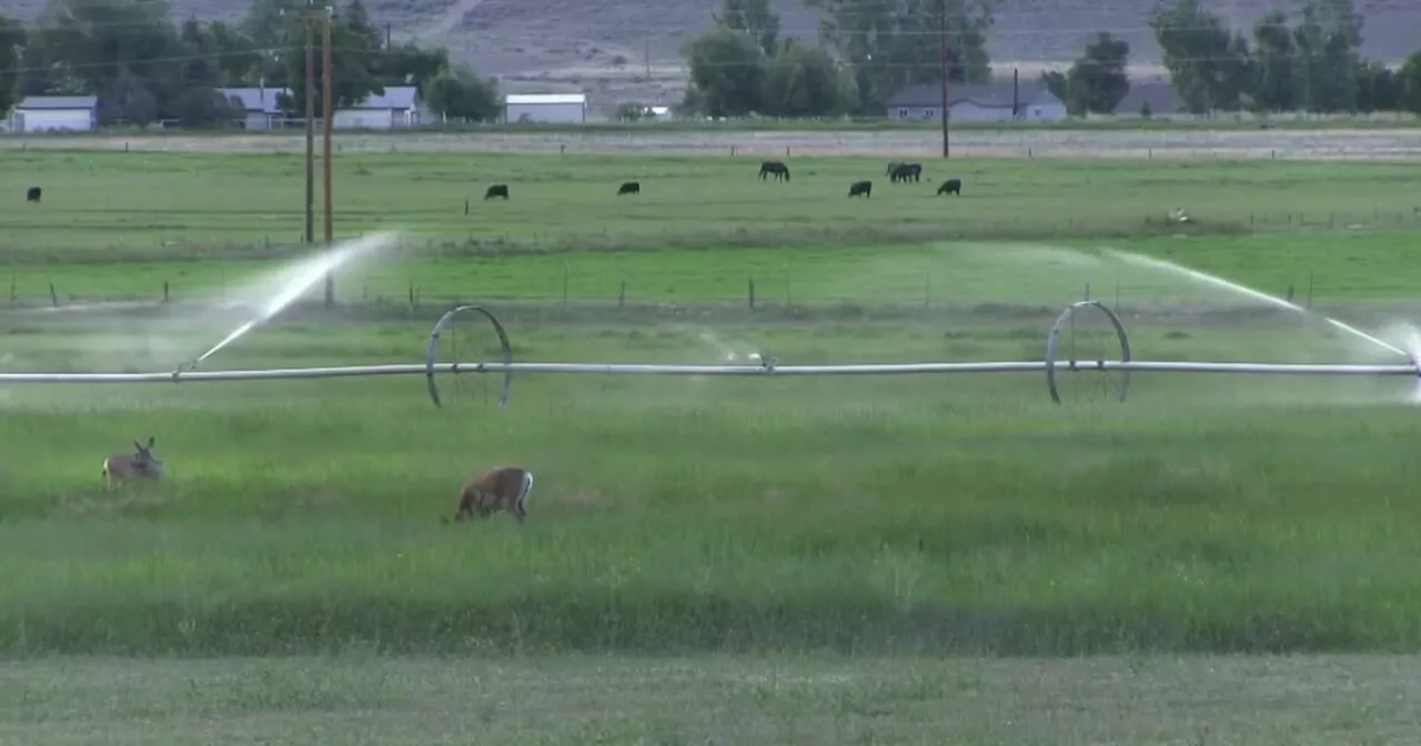 New study suggests changes to how you pay for water in Utah