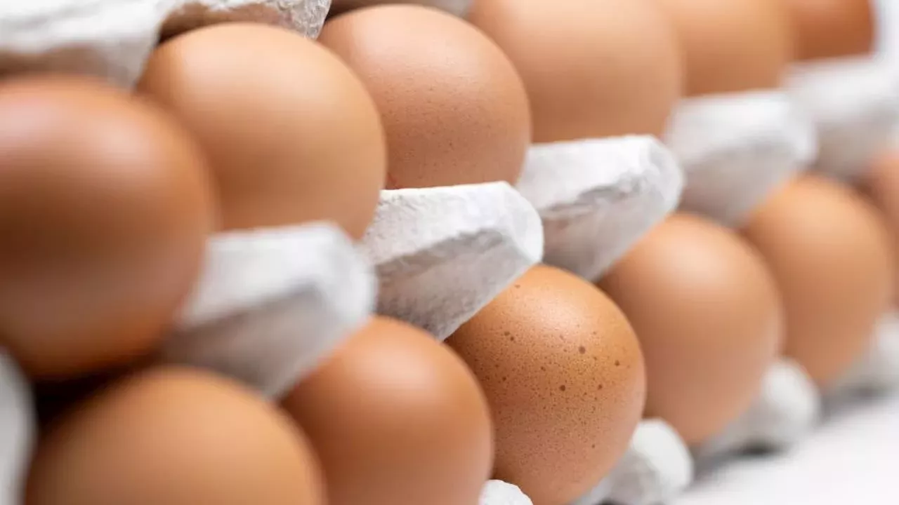 FDA Upgrades Egg Recall to Highest Risk Level Due to Salmonella