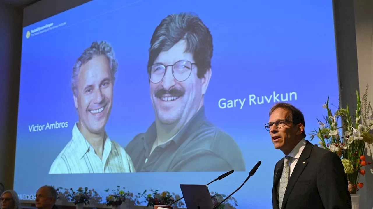 Prix Nobel de médecine : les biologistes américains Victor Ambros et Gary Ruvkun récompensés pour leurs travau