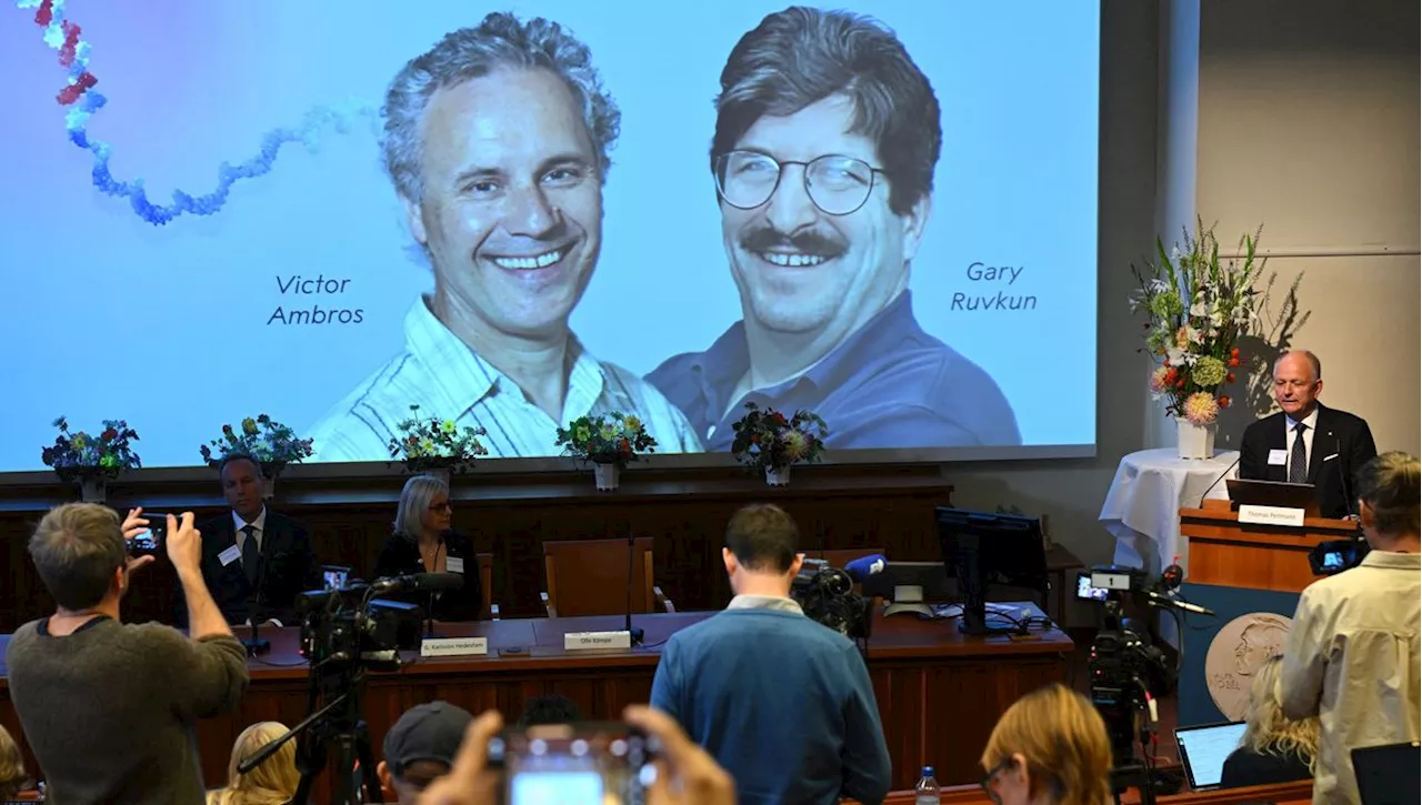 Nobel de médecine : deux Américains récompensés pour leur découverte des microARN