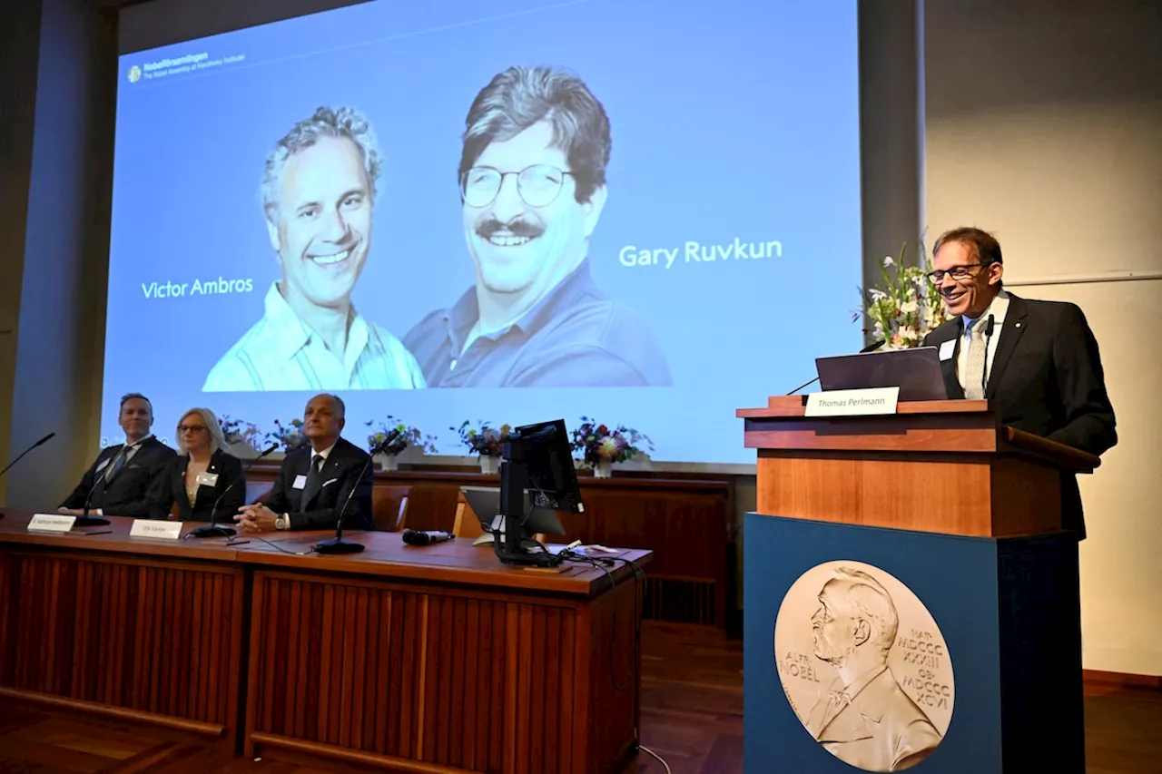 Nobel Prize in Medicine goes to U.S. scientists Ambros and Ruvkun for microRNA discovery