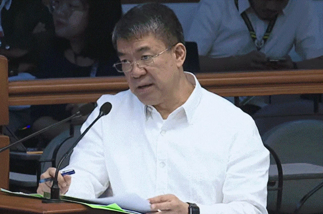 Pimentel: Eleksyon 2025 'best time' to prove Alice Guo is not Filipino