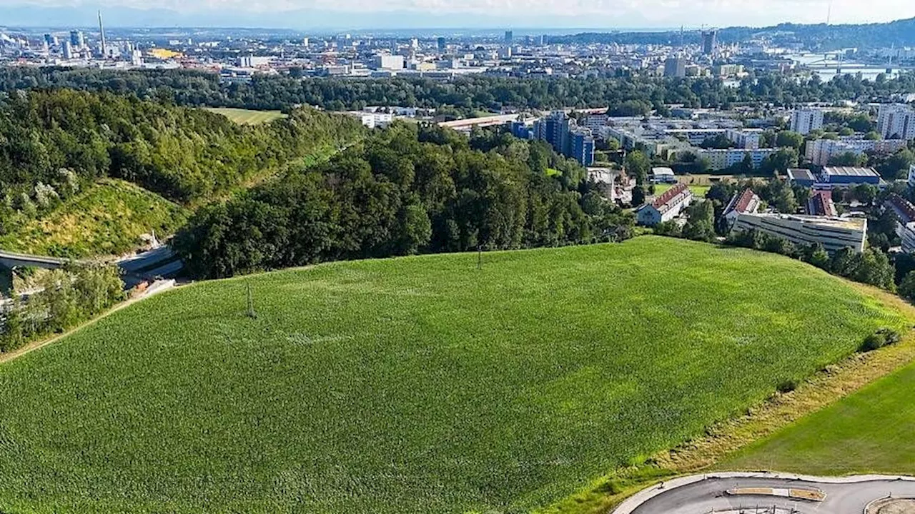 Knalleffekt: Stadt Linz stoppt Pläne für Digital-Uni