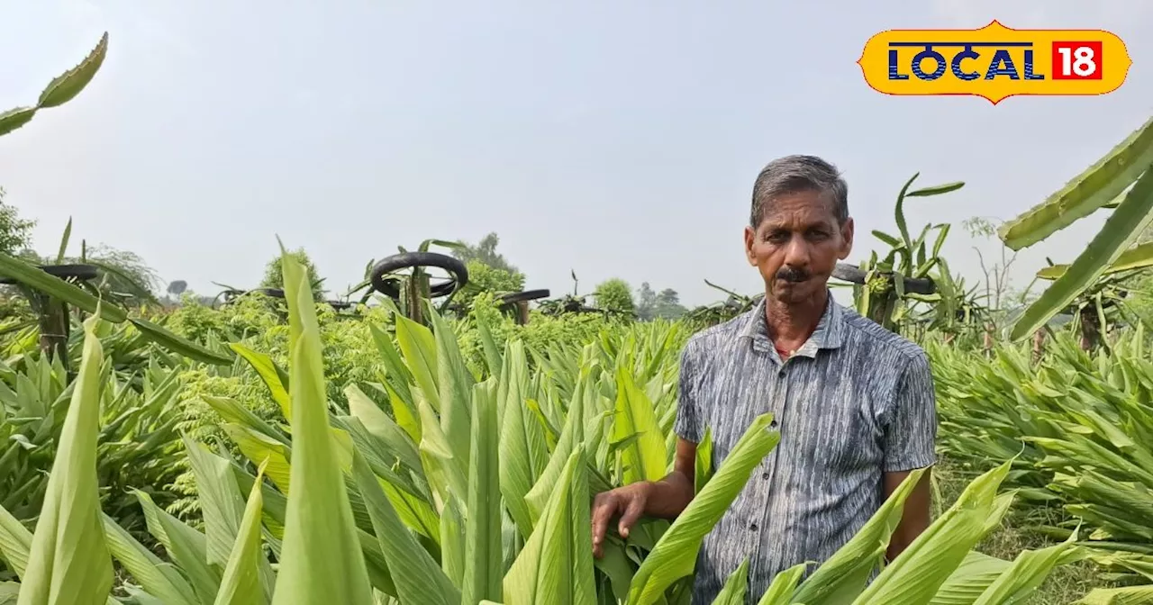 इस किसान ने फल के साथ शुरू की है मसाले की खेती, अब कम लागत में कमा रहे लाखों में मुनाफा