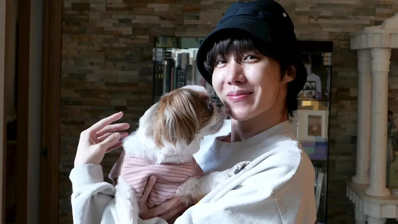 BTS's J-Hope spreads his compassionate sunshine to abandoned dogs, donates pet food, and improves pet
