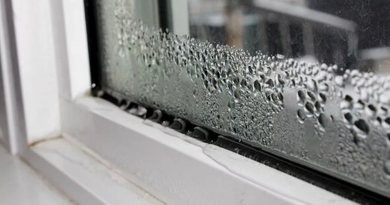 How To Tackle Condensation In Your Home As Temperatures Plummet