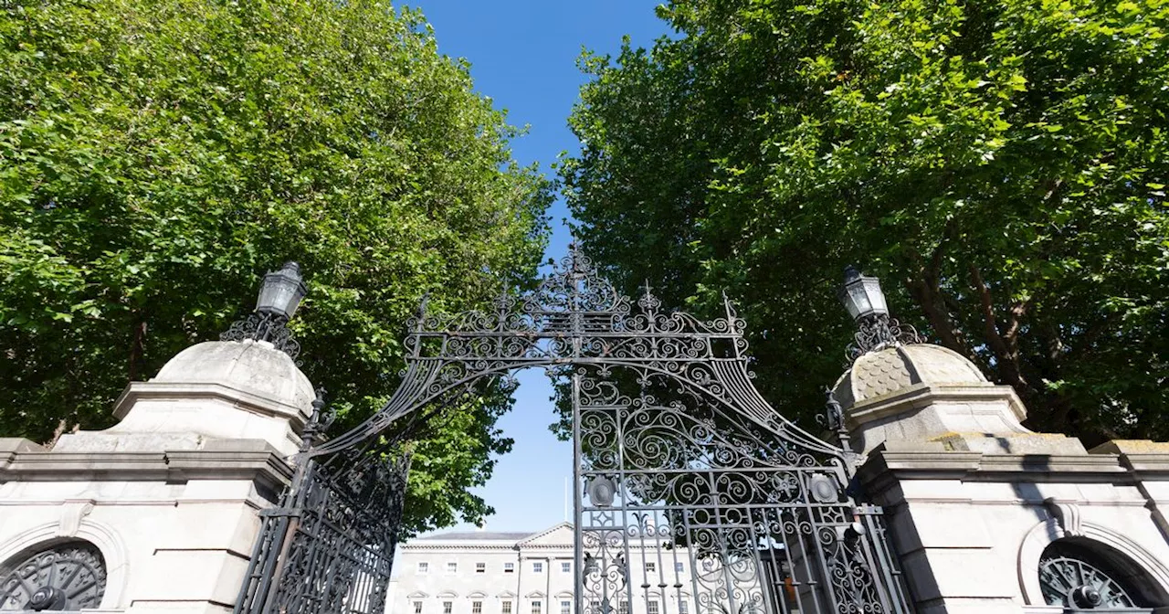 State spent over €40k on temporary gates and repairs after Leinster House rammed